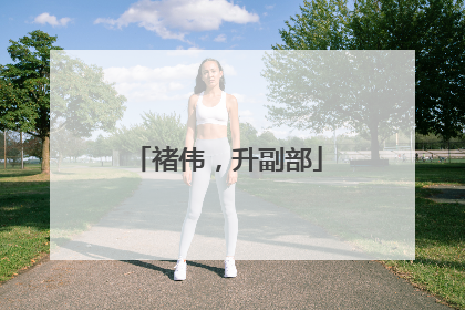 褚伟，升副部