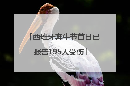 西班牙奔牛节首日已报告195人受伤