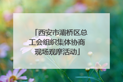 西安市灞桥区总工会组织集体协商现场观摩活动