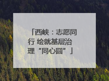西峡：志愿同行 绘就基层治理“同心圆”