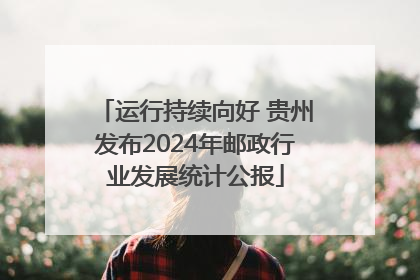 运行持续向好 贵州发布2024年邮政行业发展统计公报