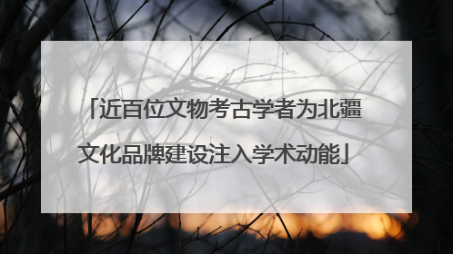 近百位文物考古学者为北疆文化品牌建设注入学术动能