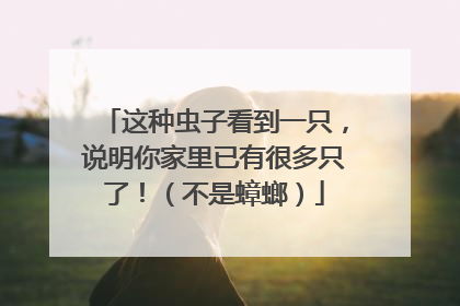 这种虫子看到一只，说明你家里已有很多只了！（不是蟑螂）