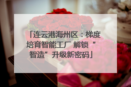连云港海州区：梯度培育智能工厂 解锁“智造”升级新密码