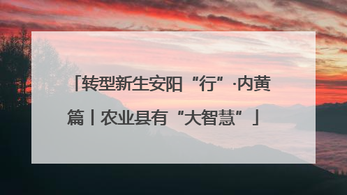 转型新生安阳“行”·内黄篇丨农业县有“大智慧”