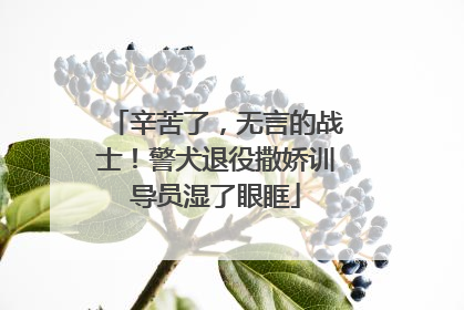辛苦了，无言的战士！警犬退役撒娇训导员湿了眼眶