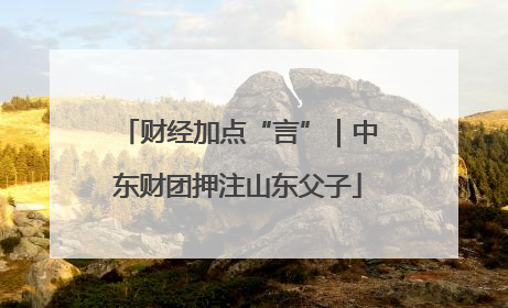 财经加点“言”｜中东财团押注山东父子