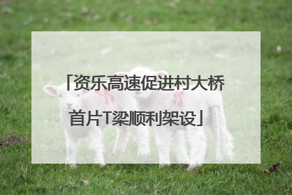 资乐高速促进村大桥首片T梁顺利架设
