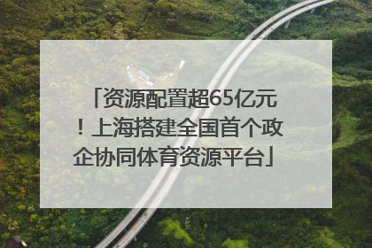 资源配置超65亿元！上海搭建全国首个政企协同体育资源平台