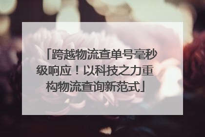 跨越物流查单号毫秒级响应！以科技之力重构物流查询新范式