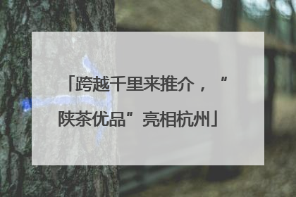 跨越千里来推介，“陕茶优品”亮相杭州