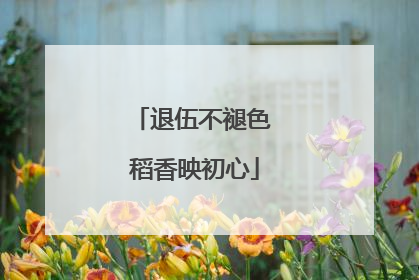 退伍不褪色 稻香映初心