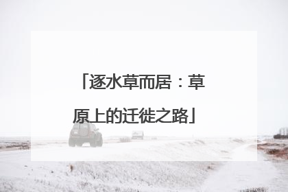 逐水草而居：草原上的迁徙之路