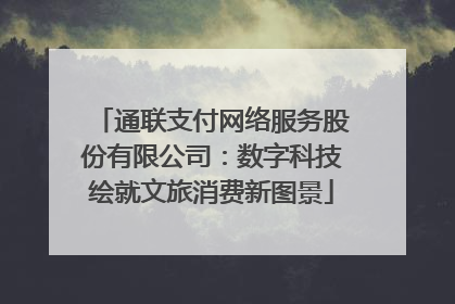 通联支付网络服务股份有限公司：数字科技绘就文旅消费新图景