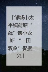 邹城市太平镇荷塘“藕”遇小龙虾 “一田双收”促振兴