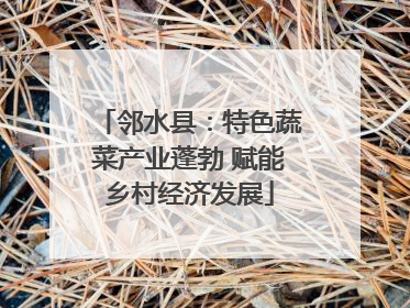 邻水县：特色蔬菜产业蓬勃 赋能乡村经济发展
