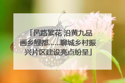 邑路繁花 沿黄九品 画乡鲤都……聊城乡村振兴片区建设亮点纷呈