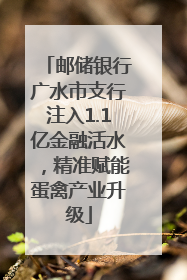 邮储银行广水市支行注入1.1亿金融活水，精准赋能蛋禽产业升级