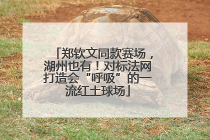 郑钦文同款赛场，湖州也有！对标法网打造会“呼吸”的一流红土球场