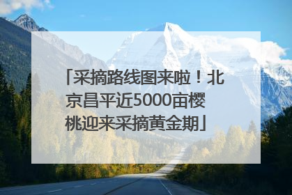 采摘路线图来啦！北京昌平近5000亩樱桃迎来采摘黄金期