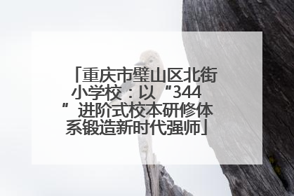 重庆市璧山区北街小学校：以“344”进阶式校本研修体系锻造新时代强师
