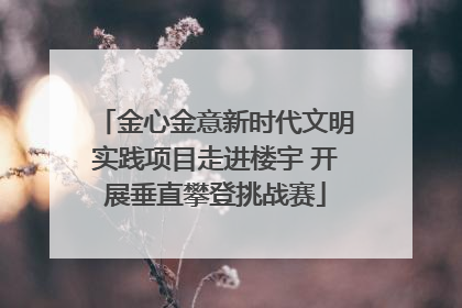 金心金意新时代文明实践项目走进楼宇 开展垂直攀登挑战赛