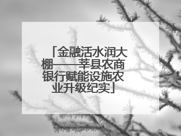 金融活水润大棚——莘县农商银行赋能设施农业升级纪实