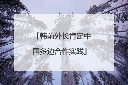 韩前外长肯定中国多边合作实践