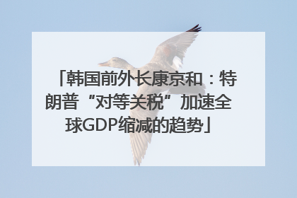 韩国前外长康京和：特朗普“对等关税”加速全球GDP缩减的趋势