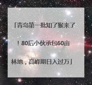 青岛第一批知了猴来了！80后小伙承包60亩林地，高峰期日入过万