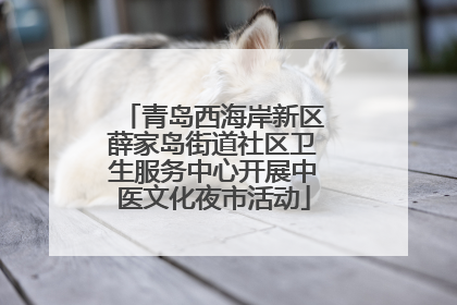 青岛西海岸新区薛家岛街道社区卫生服务中心开展中医文化夜市活动