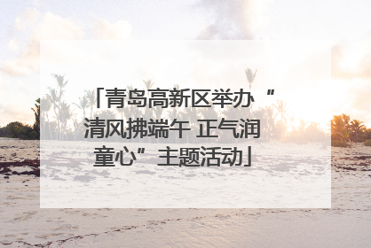 青岛高新区举办“清风拂端午 正气润童心”主题活动