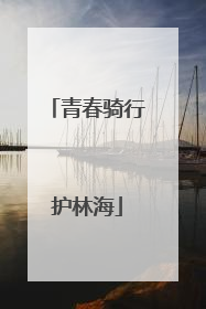 青春骑行护林海