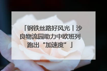 钢铁丝路好风光丨沙良物流园助力中欧班列跑出“加速度”