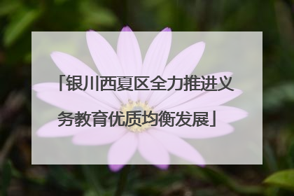 银川西夏区全力推进义务教育优质均衡发展