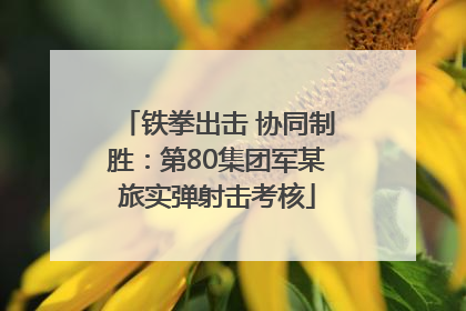 铁拳出击 协同制胜：第80集团军某旅实弹射击考核