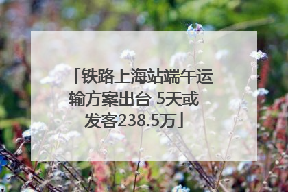 铁路上海站端午运输方案出台 5天或发客238.5万