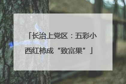 长治上党区：五彩小西红柿成“致富果”