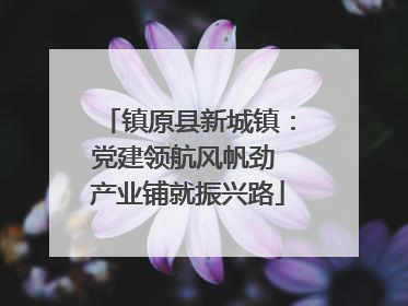 镇原县新城镇：党建领航风帆劲 产业铺就振兴路