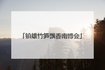 镇雄竹笋飘香南博会