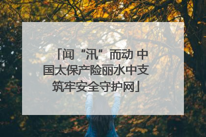 闻“汛”而动 中国太保产险丽水中支筑牢安全守护网