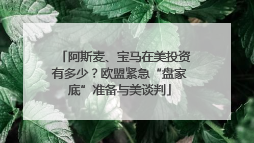 阿斯麦、宝马在美投资有多少？欧盟紧急“盘家底”准备与美谈判