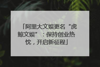 阿里大文娱更名“虎鲸文娱”：保持创业热忱，开启新征程