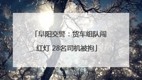 阜阳交警：货车组队闯红灯 28名司机被拘