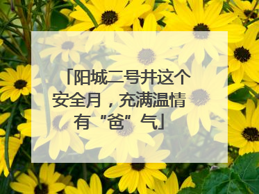 阳城二号井这个安全月，充满温情有“爸”气