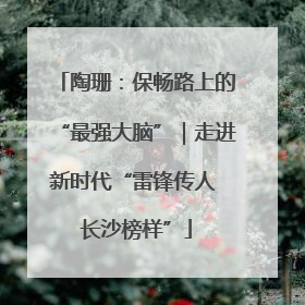 陶珊:保畅路上的“最强大脑”|走进新时代“雷锋传人 长沙榜样”
