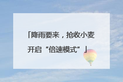 降雨要来，抢收小麦开启“倍速模式”