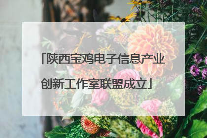 陕西宝鸡电子信息产业创新工作室联盟成立