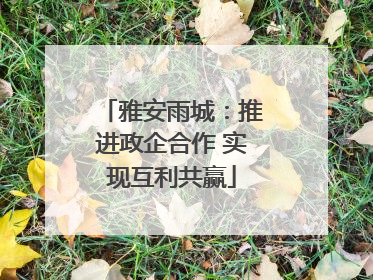 雅安雨城：推进政企合作 实现互利共赢