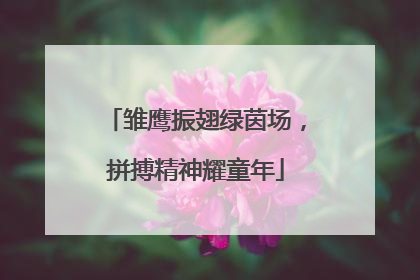 雏鹰振翅绿茵场，拼搏精神耀童年